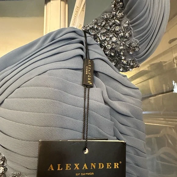 ✔️#78B BNWT ALEXANDER BY DAYMOR EVENING GOWN #1965 - Picture 3 of 17